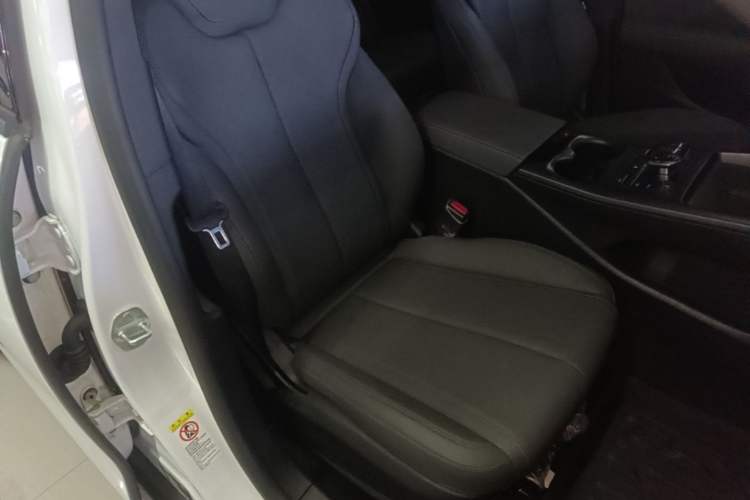 Used BYD Qin PLUS 2025 DM-i Smart Drive 55KM Leading Model Right Front Seat