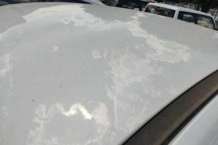 Used BYD Qin PLUS  Roof