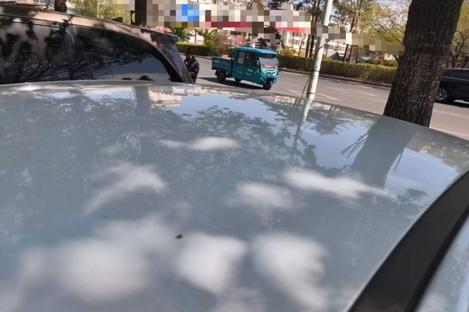 Used BYD Qin PLUS 2025 DM-i Smart Drive 55KM Leading Model Roof