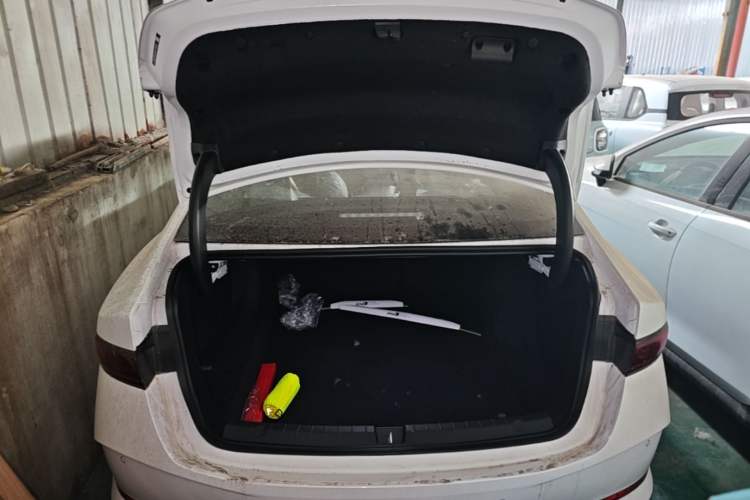 Used BYD Qin PLUS  Trunk