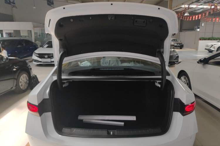 Used BYD Qin PLUS  Trunk