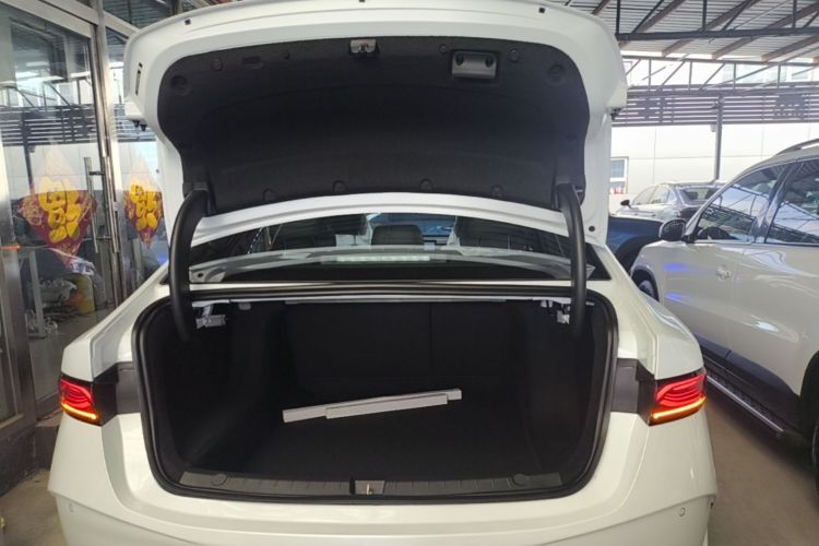 Used BYD Qin PLUS  Trunk