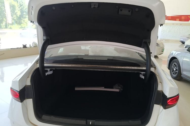 Used BYD Qin PLUS  Trunk