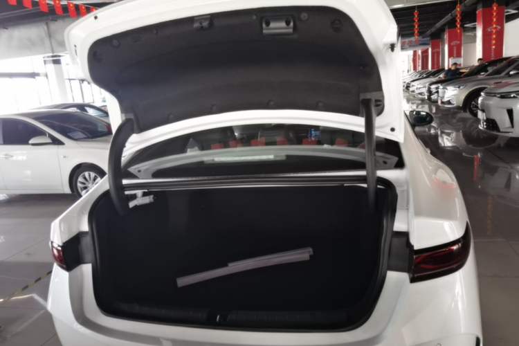 Used BYD Qin PLUS  Trunk