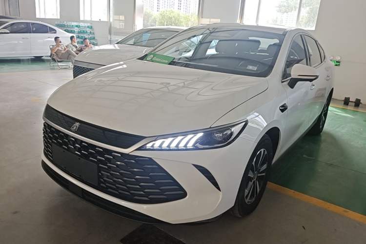 BYD Qin PLUS 2025 DM-i Smart Drive 120KM Superior Model