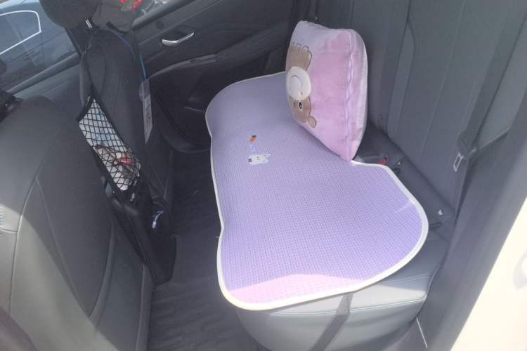 Used BYD Qin PLUS  Left Rear Seat