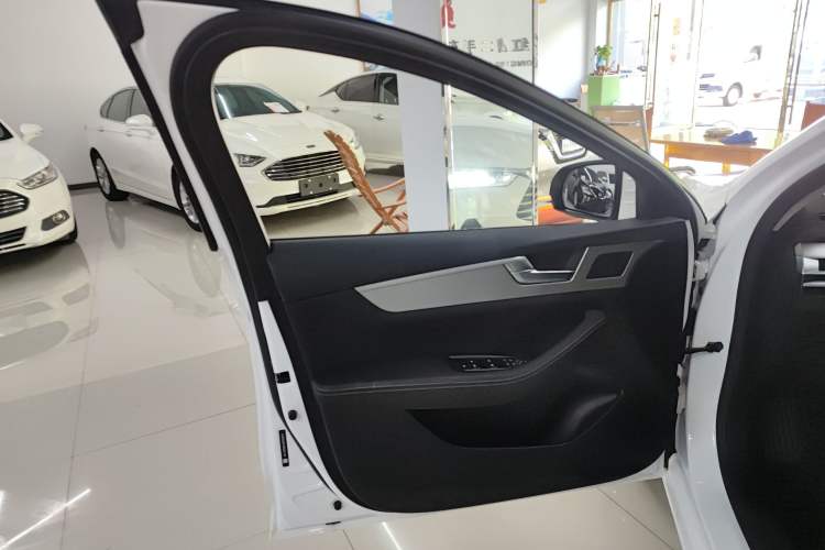Used BYD Qin Pro 2020 Beyond Edition 1.5TI Automatic Flagship Version Left Front Door Interior