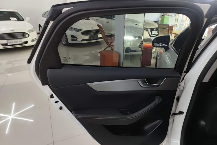 Used BYD Qin Pro 2020 Beyond Edition 1.5TI Automatic Flagship Version Left Rear Door Interior