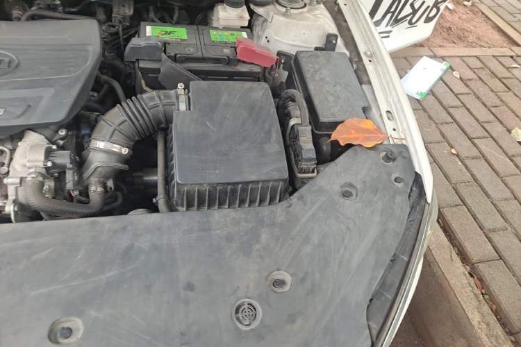 Used BYD Qin Pro 2019 Super Edition 1.5TI Automatic Smart Connect Dynamic Model China VI Standard Engine Bay Left