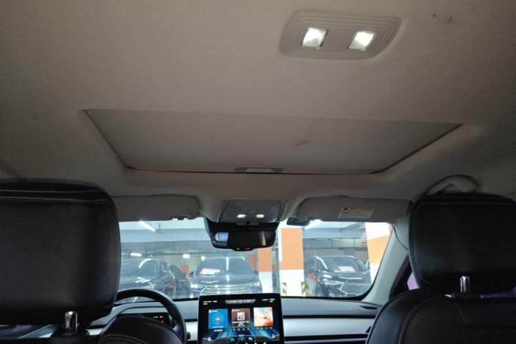Used BYD Qin Pro  Headliner