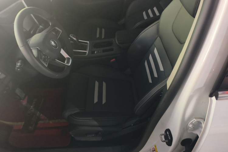 Used BYD Qin Pro 2019 Super Edition 1.5TI Automatic Smart Connect Flagship Model China V Standard Left Front Seat