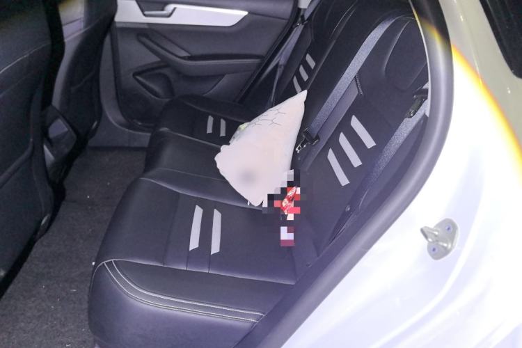 Used BYD Qin Pro 2019 Super Edition 1.5TI Automatic Smart Connect FENGSHANG Model China V Standard Left Rear Seat