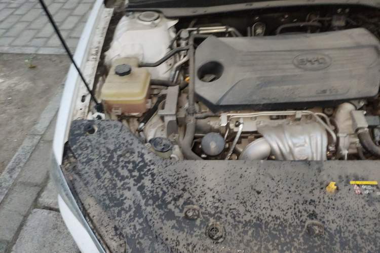 Used BYD Qin Pro 2020 Beyond Edition 1.5TI Manual Luxury Version Engine Bay Right