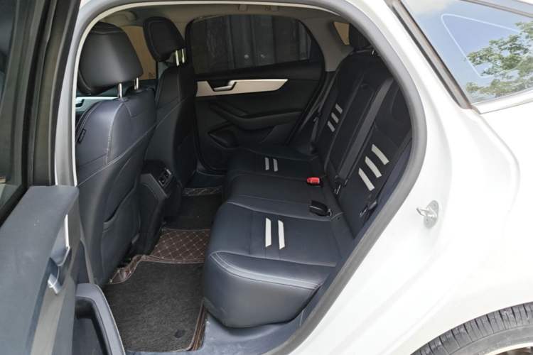 Used BYD Qin Pro 2020 Beyond Edition 1.5TI Automatic Flagship Version Left Rear Seat
