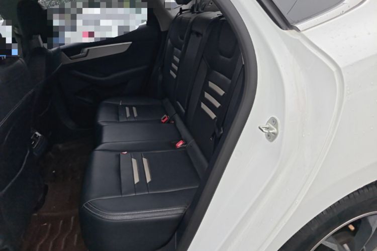 Used BYD Qin Pro 2020 Beyond Edition 1.5TI Automatic Flagship Version Left Rear Seat