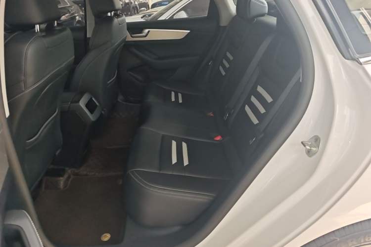 Used BYD Qin Pro 2020 Beyond Edition 1.5TI Manual Luxury Version Left Rear Seat