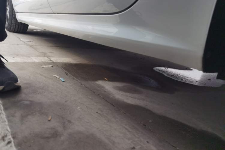 Used BYD Qin Pro 2020 Beyond Edition 1.5TI Automatic Prestige Version Left Side Sill