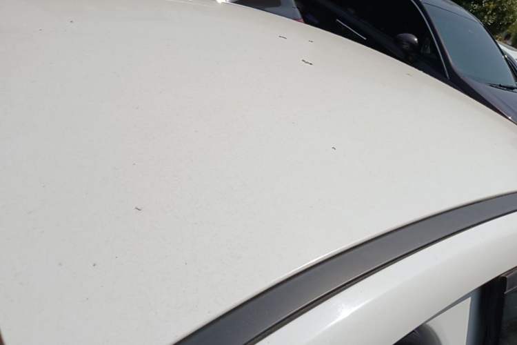 Used BYD Qin Pro 2020 Beyond Edition 1.5TI Automatic Prestige Version Roof