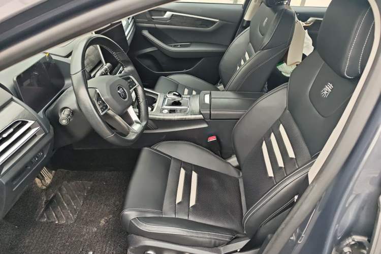 Used BYD Qin Pro New Energy 2018 EV500 Smart Connect Elite Model Left Front Seat