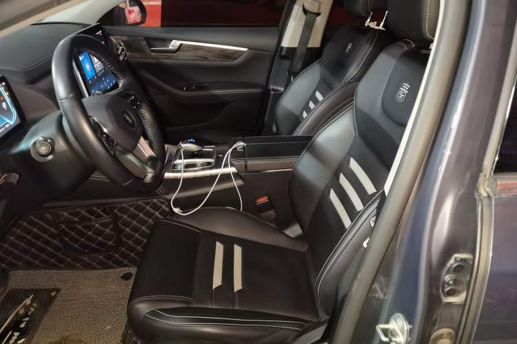 Used BYD Qin Pro New Energy 2018 EV500 Smart Connect Elite Model Left Front Seat