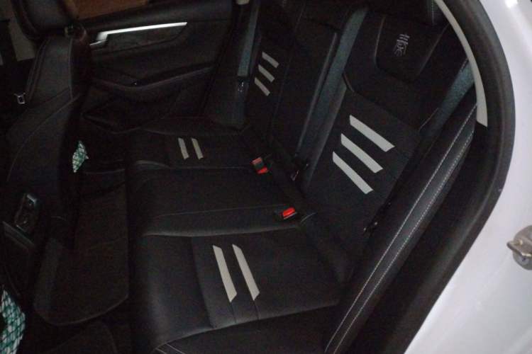 Used BYD Qin Pro New Energy 2018 DM 1.5TI Automatic Smart Connect Elite Model Left Rear Seat