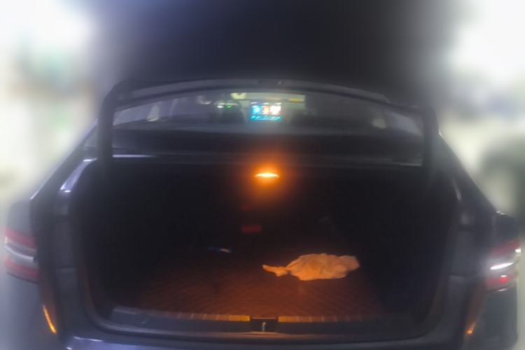 Used BYD Qin Pro New Energy 2018 EV500 Smart Connect Elite Model Trunk