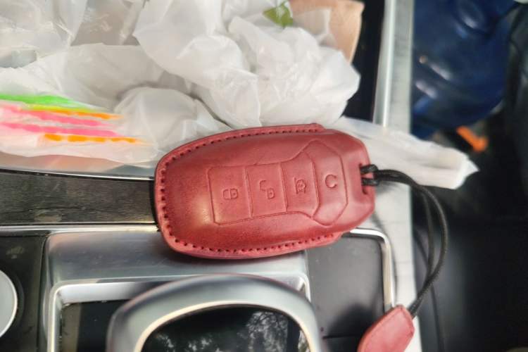 Used BYD Qin Pro New Energy 2018 DM 1.5TI Automatic Smart Connect Elite Model Vehicle Key