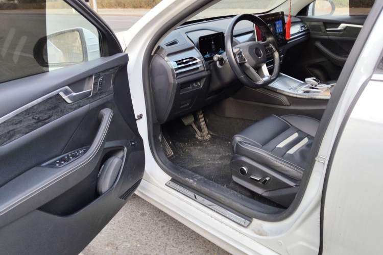Used BYD Qin Pro New Energy 2018 EV500 Smart Connect Elite Model Driver Seat