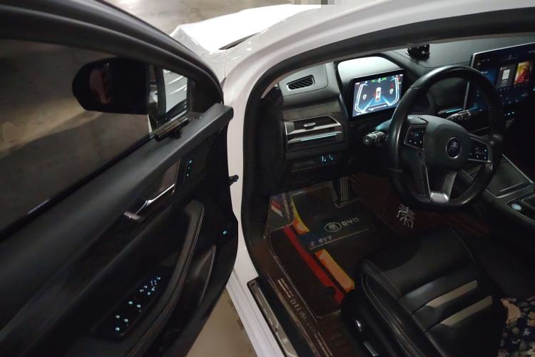 Used BYD Qin Pro New Energy 2018 EV500 Smart Connect Elite Model Driver Seat