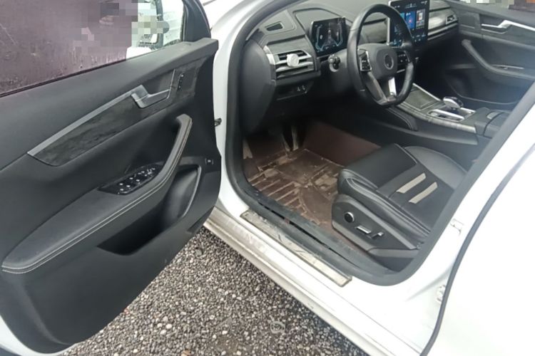 Used BYD Qin Pro New Energy 2018 EV500 Smart Connect Elite Model Driver Seat