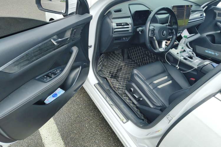 Used BYD Qin Pro New Energy 2018 EV500 Smart Connect Elite Model Driver Seat