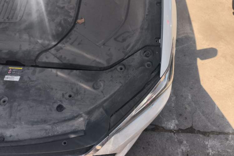 Used BYD Qin Pro New Energy 2018 EV500 Developer Edition Professional Model Engine Bay Left