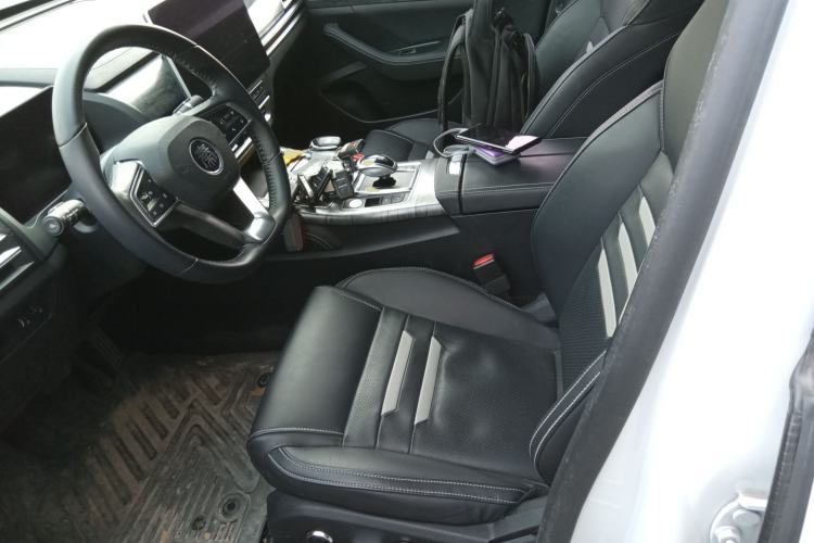 Used BYD Qin Pro New Energy 2018 EV500 Smart Connect Elite Model Left Front Seat
