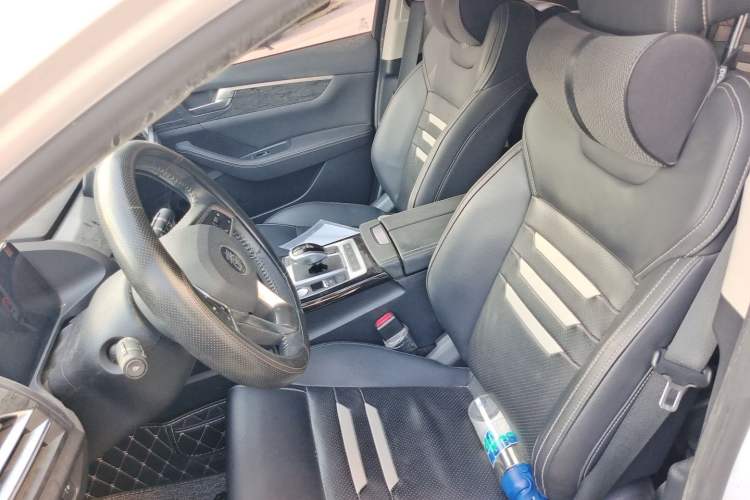 Used BYD Qin Pro New Energy 2018 EV500 Smart Connect Elite Model Left Front Seat