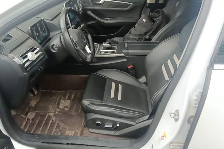 Used BYD Qin Pro New Energy 2018 EV500 Smart Connect Elite Model Left Front Seat