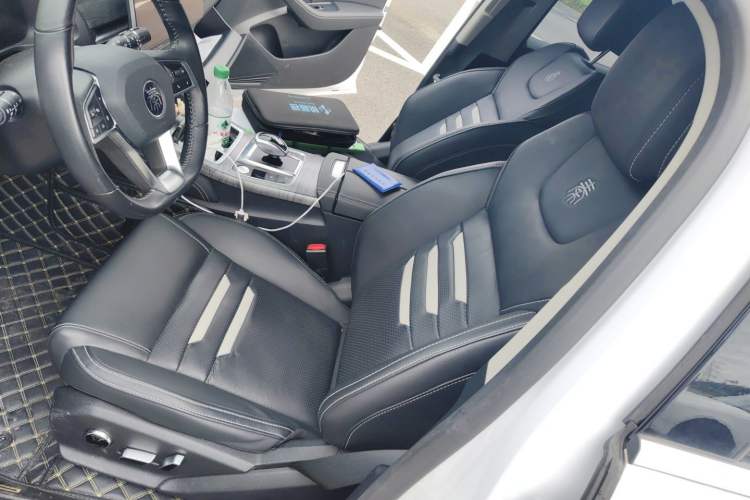 Used BYD Qin Pro New Energy 2018 EV500 Smart Connect Elite Model Left Front Seat
