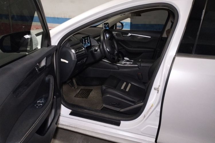 Used BYD Qin Pro New Energy 2018 EV500 Smart Connect Elite Model Left Front Seat