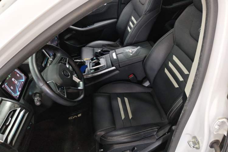 Used BYD Qin Pro New Energy 2018 EV500 Smart Connect Elite Model Left Front Seat