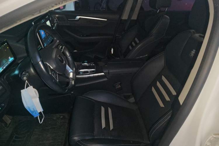 Used BYD Qin Pro New Energy 2018 EV500 Smart Connect Elite Model Left Front Seat