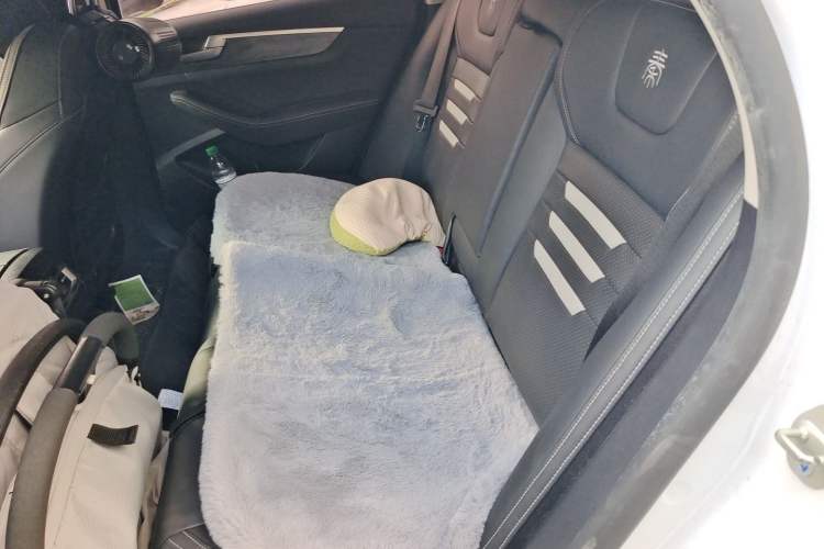 Used BYD Qin Pro New Energy 2018 EV500 Smart Connect Elite Model Left Rear Seat
