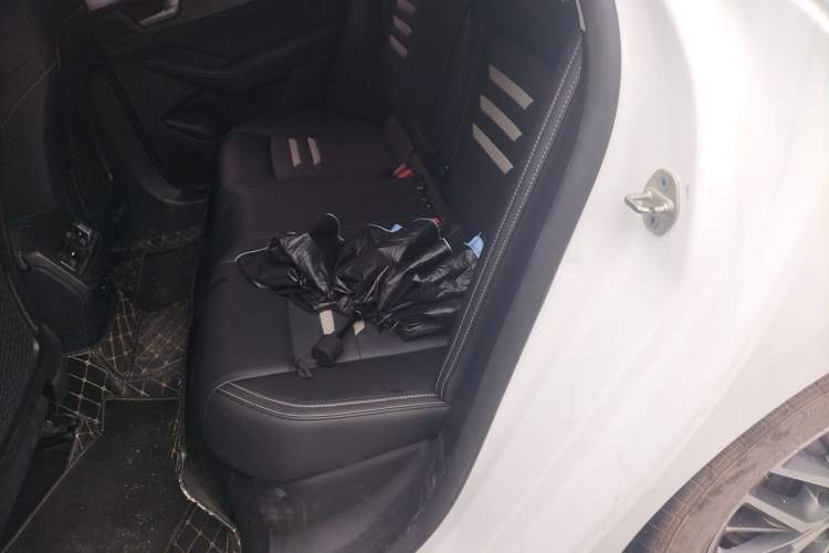 Used BYD Qin Pro New Energy 2018 DM 1.5TI Automatic Smart Connect Elite Model Left Rear Seat