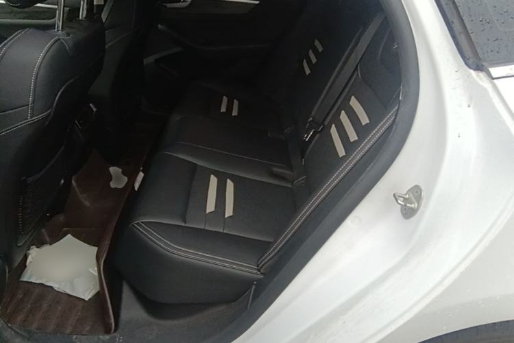 Used BYD Qin Pro New Energy 2018 EV500 Smart Connect Elite Model Left Rear Seat