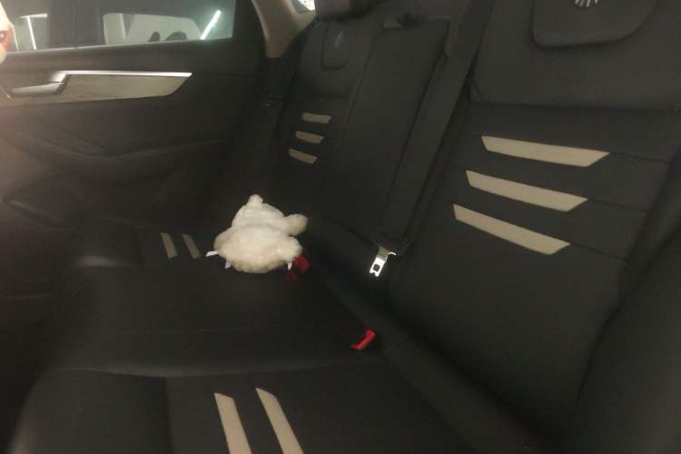 Used BYD Qin Pro New Energy 2018 DM 1.5TI Automatic Smart Connect Enjoyment Model Left Rear Seat