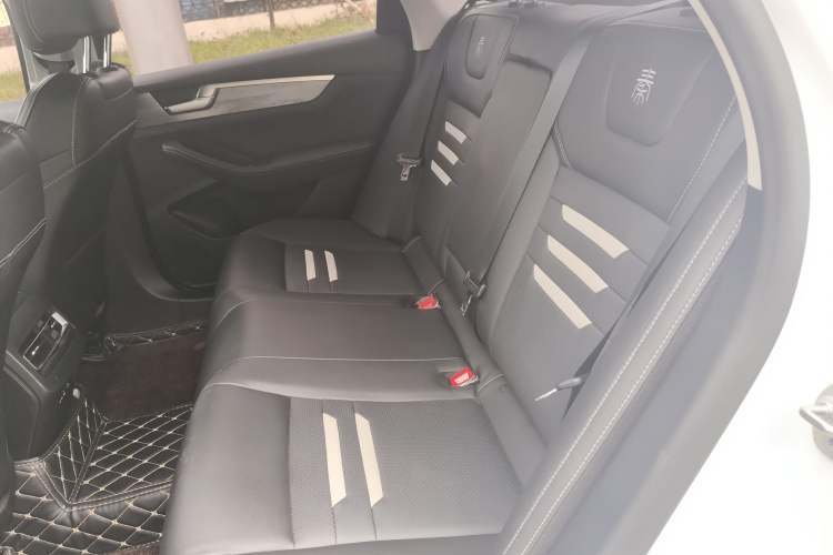 Used BYD Qin Pro New Energy 2018 DM 1.5TI Automatic Smart Connect Enjoyment Model Left Rear Seat