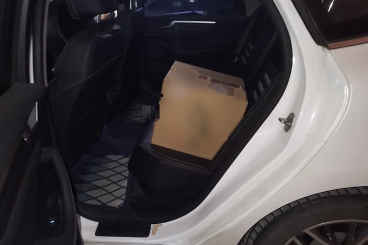 Used BYD Qin Pro New Energy 2018 EV500 Smart Connect Elite Model Left Rear Seat