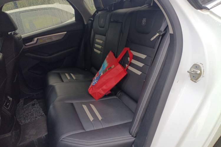 Used BYD Qin Pro New Energy 2018 EV500 Smart Connect Leading Model Left Rear Seat