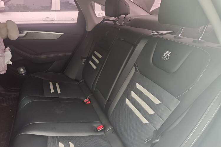 Used BYD Qin Pro New Energy 2018 DM 1.5TI Automatic Smart Connect Elite Model Left Rear Seat