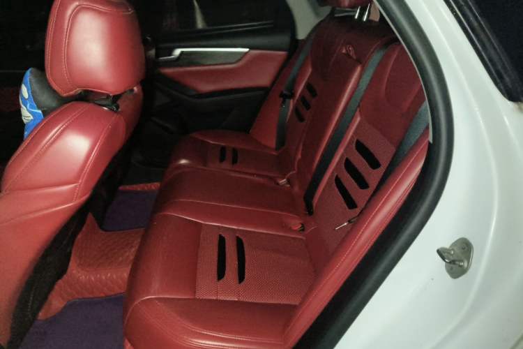Used BYD Qin Pro New Energy 2018 DM 1.5TI Automatic Smart Connect Elite Model Left Rear Seat