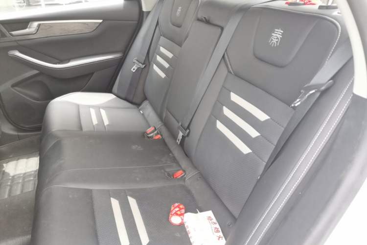 Used BYD Qin Pro New Energy 2018 DM 1.5TI Automatic Smart Connect Elite Model Left Rear Seat