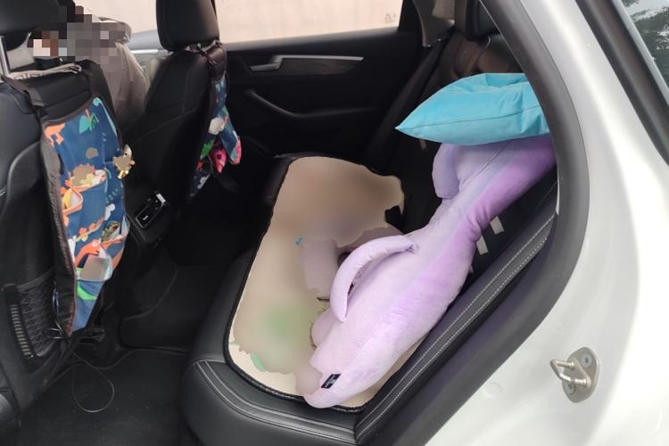 Used BYD Qin Pro New Energy 2018 DM 1.5TI Automatic Smart Connect Elite Model Left Rear Seat